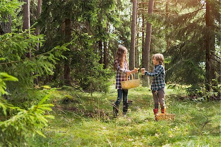 Brother and sister picking mushrooms in forest Photographie de stock - Premium Libres de Droits, Code: 6102-08520610