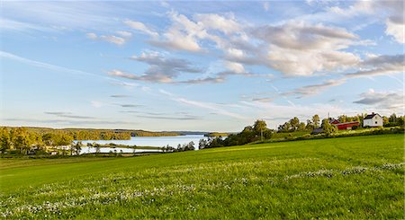 simsearch:6102-07844099,k - Cultivated field with lake in background Stock Photo - Premium Royalty-Free, Code: 6102-08520843