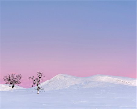 simsearch:6102-08761357,k - Winter landscape at sunset Fotografie stock - Premium Royalty-Free, Codice: 6102-08520896