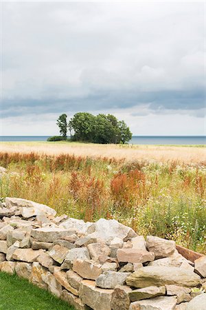 simsearch:6102-06471078,k - Landscape of meadow with sea Stock Photo - Premium Royalty-Free, Code: 6102-08521057