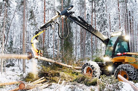 simsearch:6102-08120935,k - Logging vehicle carrying timber Stock Photo - Premium Royalty-Free, Code: 6102-08642078