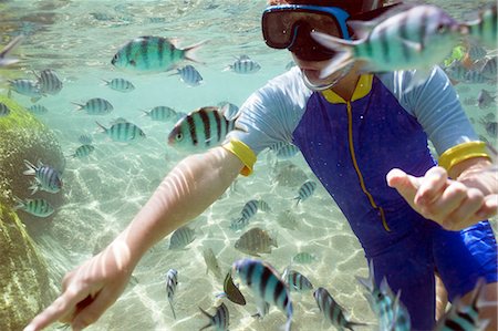 snorkeling - Boy swimming with fish around Photographie de stock - Premium Libres de Droits, Code: 6102-08642150