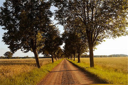 Alle at the road Photographie de stock - Premium Libres de Droits, Code: 6102-08683337