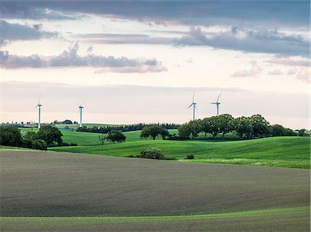 simsearch:6102-08270804,k - Rural landscape with wind turbines Fotografie stock - Premium Royalty-Free, Codice: 6102-08683440