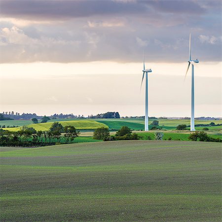 simsearch:6102-08270804,k - Rural landscape with wind turbines Fotografie stock - Premium Royalty-Free, Codice: 6102-08683444