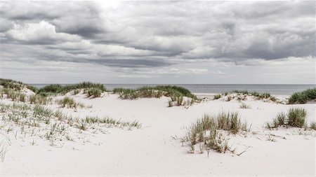 simsearch:6102-08271689,k - Sand dunes at sea Photographie de stock - Premium Libres de Droits, Code: 6102-08683469