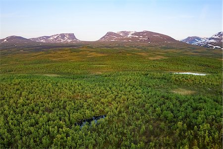 snowy trees from above - Landscape with mountains Stock Photo - Premium Royalty-Free, Code: 6102-08683473