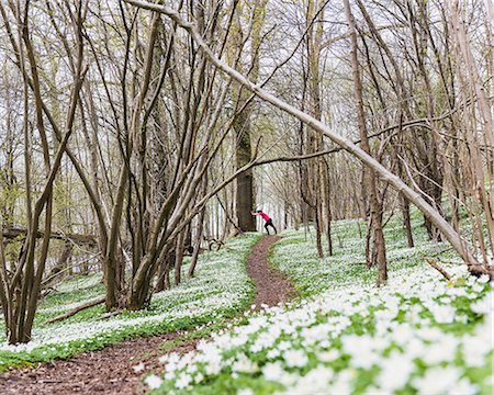 simsearch:6102-08994936,k - Woman stretching in spring forest Photographie de stock - Premium Libres de Droits, Code: 6102-08683490