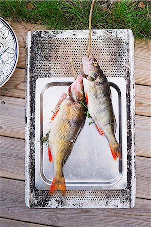 simsearch:6102-07157985,k - Fish on barbecue Photographie de stock - Premium Libres de Droits, Code: 6102-08746942