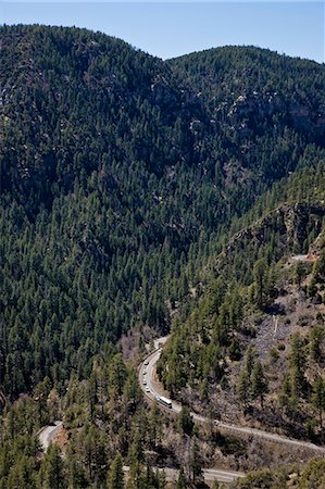 Pine-forest and country road, Oak Creek Canyon, Arizona, USA Stock Photo - Premium Royalty-Free, Code: 6102-08748585