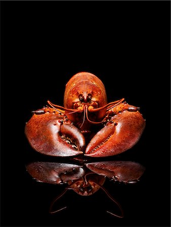 simsearch:6102-08748683,k - Lobster on black background Stock Photo - Premium Royalty-Free, Code: 6102-08748683