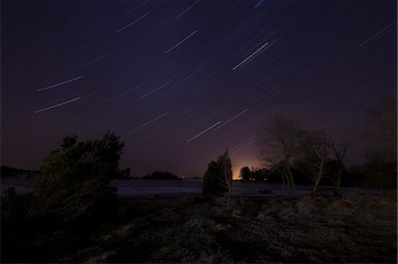 simsearch:6102-08384479,k - Scandinavia, Sweden, Smaland, View of tree and star trails Stock Photo - Premium Royalty-Free, Code: 6102-08748851