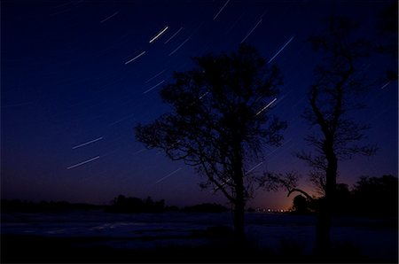 simsearch:6102-08748869,k - Scandinavia, Sweden, Smaland, View of tree and star trails Stock Photo - Premium Royalty-Free, Code: 6102-08748852