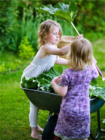 simsearch:6102-08885262,k - Girls harvesting rhubarb Foto de stock - Royalty Free Premium, Número: 6102-08760158