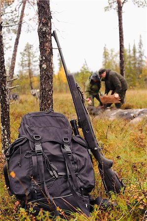 elks sweden - Rifle and backpack leaning on tree trunk, hunters in background Stock Photo - Premium Royalty-Free, Code: 6102-08760192