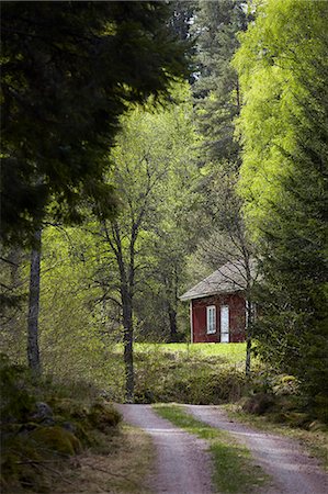 deshabitado - Wooden cottage in forest Photographie de stock - Premium Libres de Droits, Code: 6102-08760262