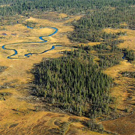 Aerial view of swamp Photographie de stock - Premium Libres de Droits, Code: 6102-08760324