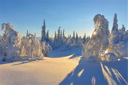 Scenic winter landscape at sunrise Stock Photo - Premium Royalty-Free, Code: 6102-08760480
