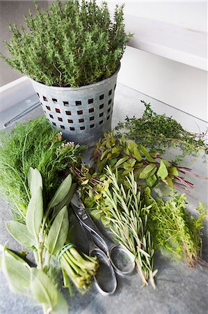 High angle view of scissors and fresh herbs, close-up Photographie de stock - Premium Libres de Droits, Code: 6102-08760755