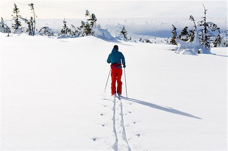 simsearch:6102-08063071,k - Man skiing, Dalarna, Sweden Foto de stock - Sin royalties Premium, Código: 6102-08760708