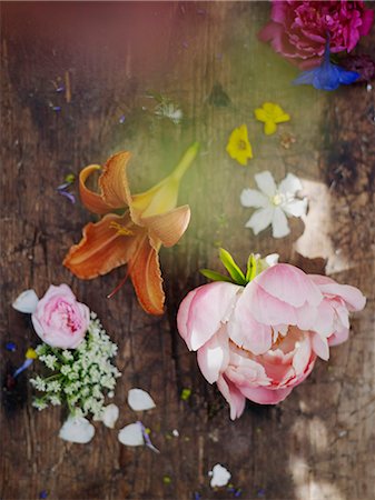 peonies - Flowers on wooden background, still life Foto de stock - Sin royalties Premium, Código: 6102-08760852