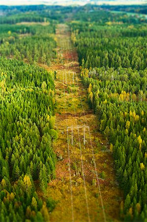 simsearch:6102-08520514,k - Aerial view of power line going through autumn forest, Sweden Foto de stock - Sin royalties Premium, Código: 6102-08761049