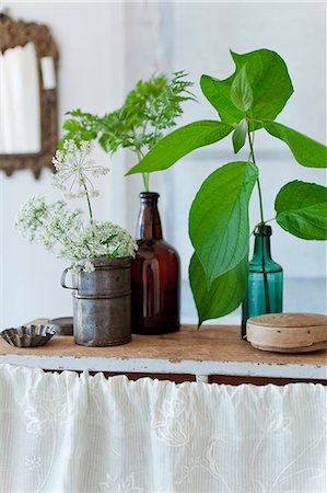 furniture decoration - Plants in old bottles Stock Photo - Premium Royalty-Free, Code: 6102-08761070