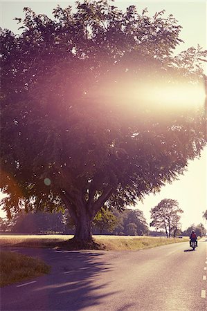 en avant - Country road, person on motorbike Photographie de stock - Premium Libres de Droits, Code: 6102-08761617