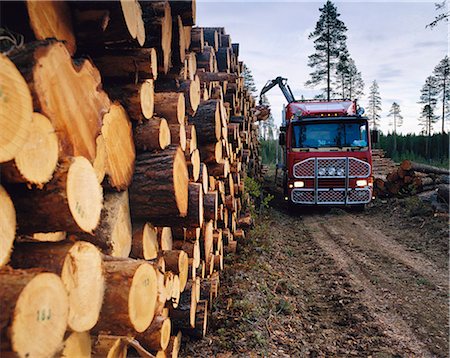 Truck parked near piled of logs Stock Photo - Premium Royalty-Free, Code: 6102-08768589