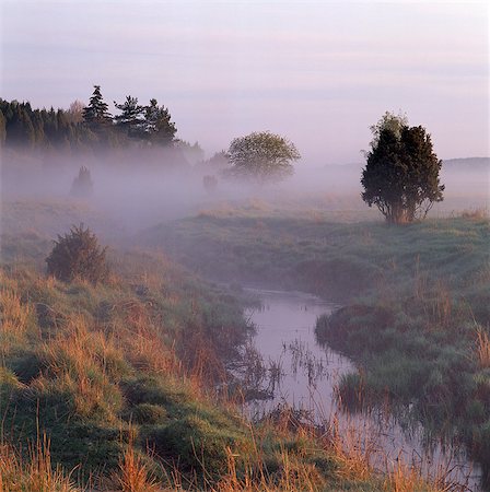 simsearch:6102-08120536,k - Fog over stream in the morning. Foto de stock - Sin royalties Premium, Código: 6102-08768600