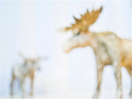 elks sweden - An elk, Sweden. Stock Photo - Premium Royalty-Free, Code: 6102-08768784