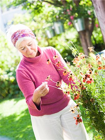 simsearch:6102-08566169,k - A woman pottering in her garden. Stock Photo - Premium Royalty-Free, Code: 6102-08768705