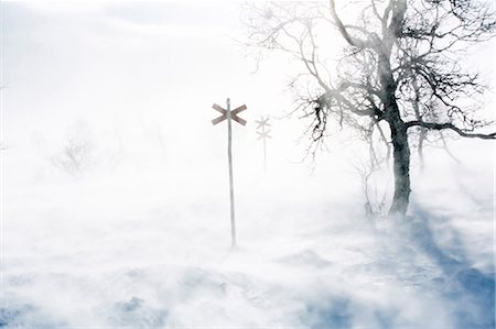 Signs showing ski trail in fog Stock Photo - Premium Royalty-Free, Code: 6102-08726789