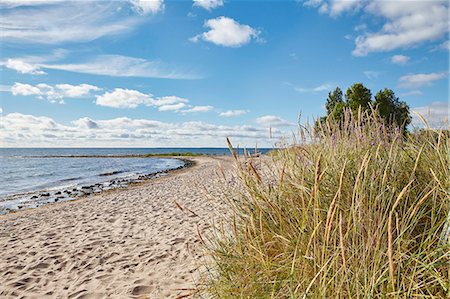 european beaches - View of sandy beach Stock Photo - Premium Royalty-Free, Code: 6102-08726858