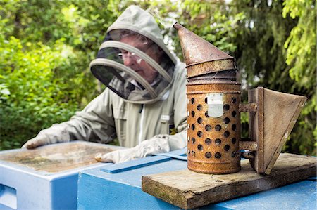 simsearch:6102-08559453,k - Beekeeper examining honeycomb Photographie de stock - Premium Libres de Droits, Code: 6102-08726907