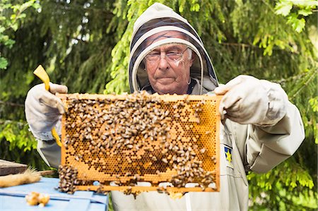 simsearch:6102-08559453,k - Beekeeper holding honeycomb Photographie de stock - Premium Libres de Droits, Code: 6102-08726921