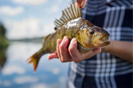 Hand holding fish Stock Photos - Page 1 : Masterfile