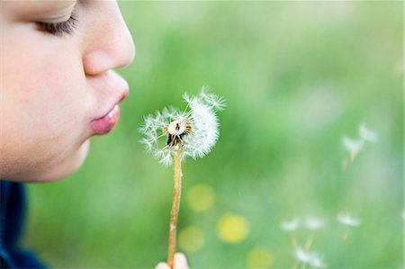 simsearch:6102-03858896,k - Boy blowing dandelion Foto de stock - Sin royalties Premium, Código: 6102-08858597