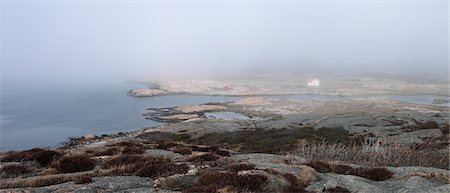 simsearch:6102-08858656,k - Rocky coast at foggy weather Photographie de stock - Premium Libres de Droits, Code: 6102-08858753