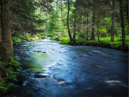 River in forest Stockbilder - Premium RF Lizenzfrei, Bildnummer: 6102-08858754