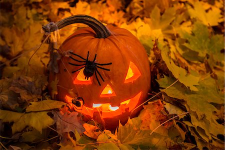 simsearch:6102-08942324,k - Illuminated Jack-o-lantern Foto de stock - Sin royalties Premium, Código: 6102-08881580