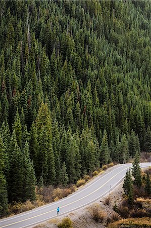 Forest along country road Stock Photo - Premium Royalty-Free, Code: 6102-08881594