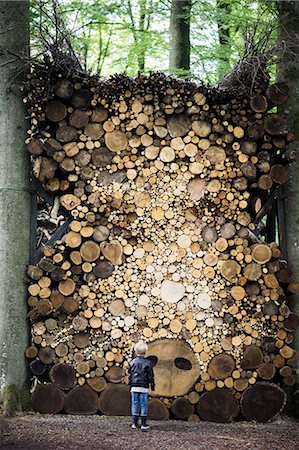 simsearch:6102-08995190,k - Boy looking at stack of firewood in forest Foto de stock - Sin royalties Premium, Código: 6102-08881874