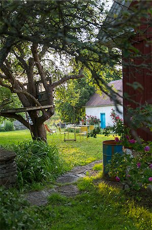 simsearch:6102-08996060,k - View of garden at summer Stock Photo - Premium Royalty-Free, Code: 6102-08881956