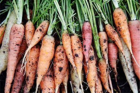 simsearch:6102-08882097,k - Fresh carrots Stock Photo - Premium Royalty-Free, Code: 6102-08881972