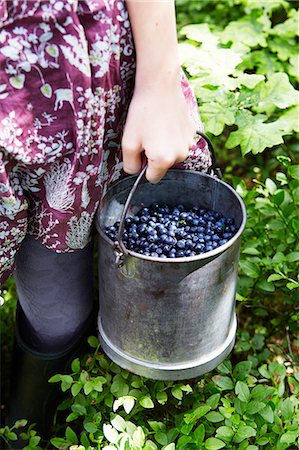 Woman carrying bucket with blueberries Stock Photo - Premium Royalty-Free, Code: 6102-08881982