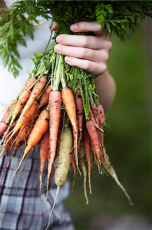 Woman holding fresh carrot and parsley Photographie de stock - Premium Libres de Droits, Code: 6102-08881985
