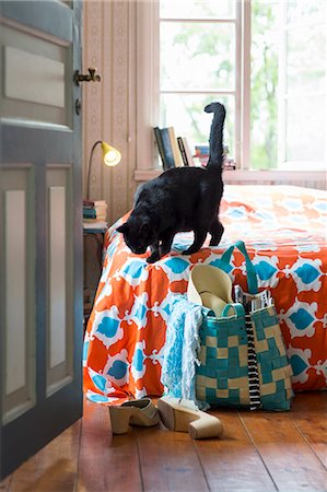 Cat on bed Photographie de stock - Premium Libres de Droits, Code: 6102-08881931