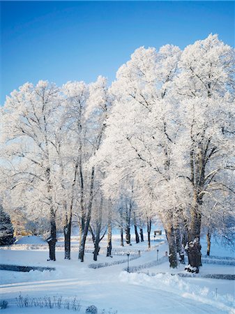 Winter landscape Photographie de stock - Premium Libres de Droits, Code: 6102-08882295