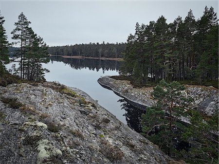 dalsland - Forest at water Stock Photo - Premium Royalty-Free, Code: 6102-08882213